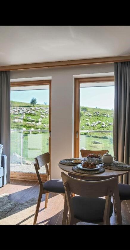 Apartamenty Bachledzki Wierch, Zakopane Exteriör bild