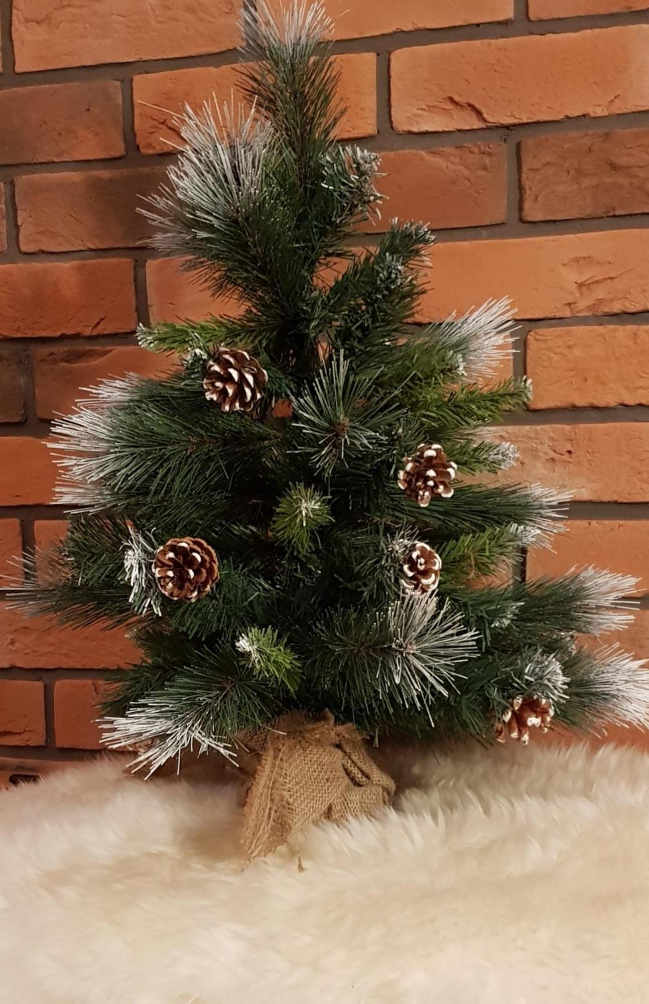 Apartamenty Bachledzki Wierch, Zakopane Exteriör bild
